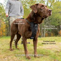 Tru-Fit Smart Harness