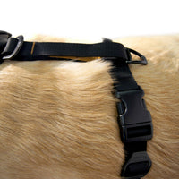 Tru-Fit Smart Harness