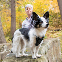 Tru-Fit Smart Harness