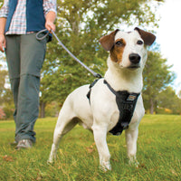 Tru-Fit Smart Harness