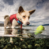 Skipping Stones