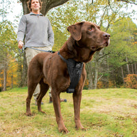 Tru-Fit Smart Harness