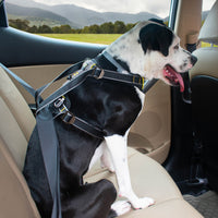 Impact Dog Car Harness