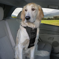 Enhanced Strength Tru-Fit Dog Car Harness