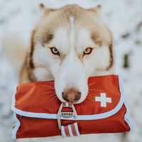 Dog First Aid Kit