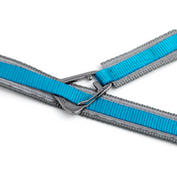 Quantum 6-in-1 Dog Lead