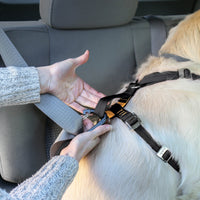 Enhanced Strength Tru-Fit Dog Car Harness