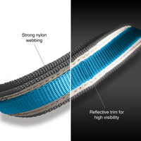 Quantum 6-in-1 Dog Lead