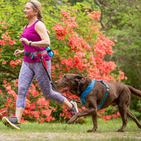 Springback Dog Leash -  48" Hiking and Running Lead