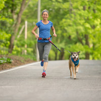Springback Lite Dog Leash - 30" Running Lead