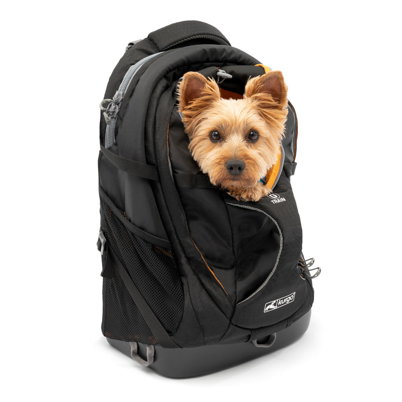G Train Pack V2