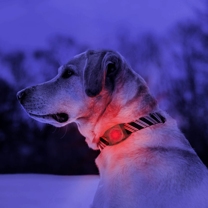 Muck deals dog collar