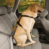 Dog Seat Belt Loop