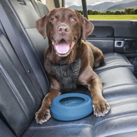 Splash Free Wander Dog Water Bowl