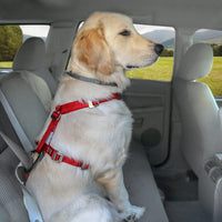 Enhanced Strength Tru-Fit Dog Car Harness