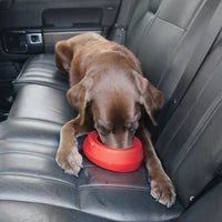 Splash Free Wander Dog Water Bowl