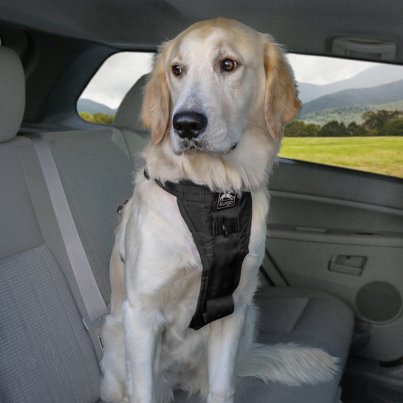 Harnais de sécurité pour chien voiture et marche Tru-Fit Smart